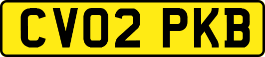 CV02PKB