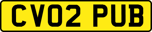 CV02PUB