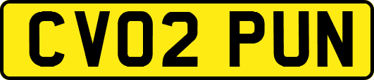 CV02PUN