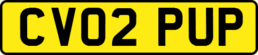CV02PUP