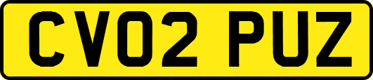 CV02PUZ