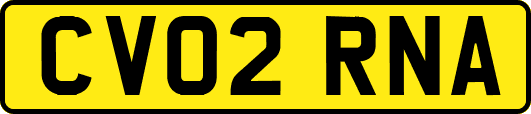 CV02RNA