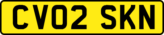 CV02SKN