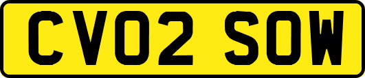 CV02SOW
