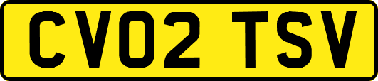 CV02TSV