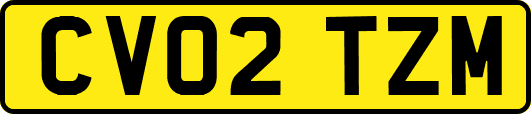 CV02TZM
