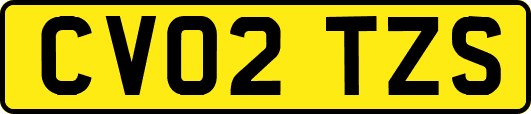 CV02TZS