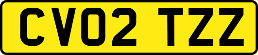 CV02TZZ