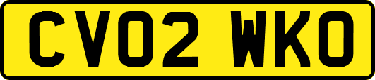 CV02WKO