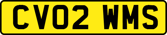 CV02WMS