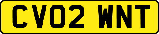 CV02WNT