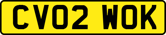 CV02WOK