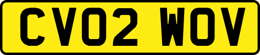 CV02WOV