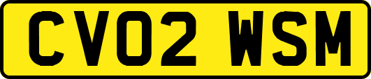 CV02WSM