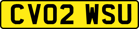 CV02WSU