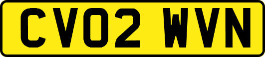 CV02WVN