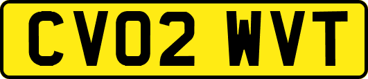 CV02WVT