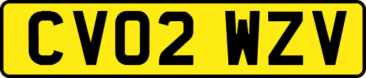 CV02WZV
