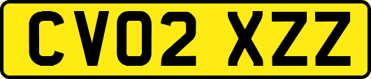 CV02XZZ