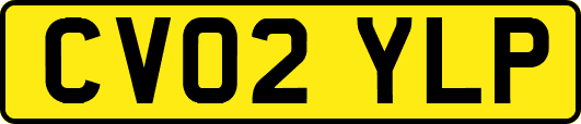 CV02YLP