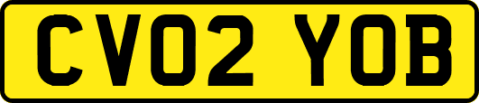 CV02YOB