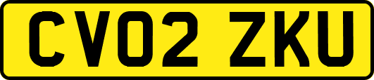 CV02ZKU