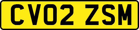 CV02ZSM