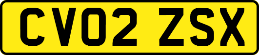 CV02ZSX