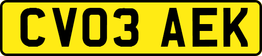 CV03AEK