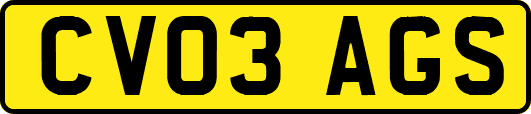 CV03AGS