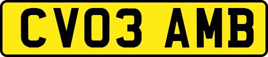 CV03AMB