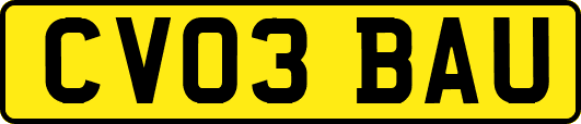 CV03BAU