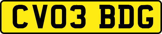 CV03BDG