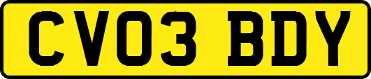 CV03BDY