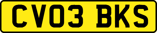 CV03BKS