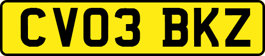 CV03BKZ