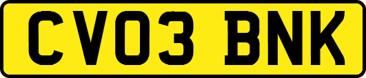 CV03BNK