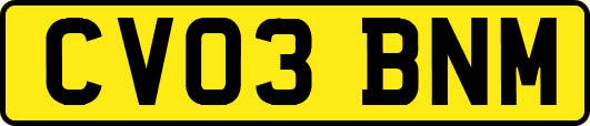 CV03BNM