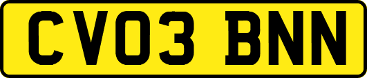 CV03BNN
