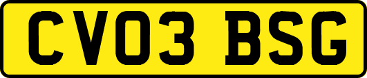 CV03BSG