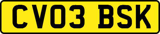 CV03BSK