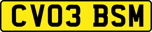 CV03BSM