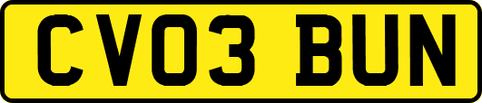 CV03BUN