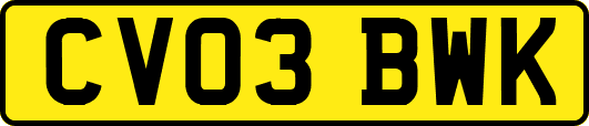 CV03BWK