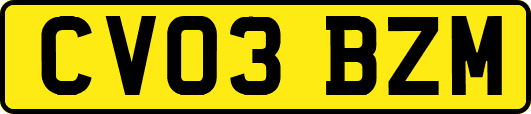 CV03BZM