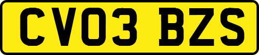 CV03BZS