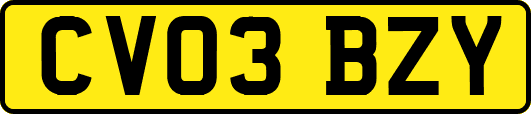 CV03BZY