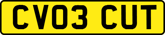 CV03CUT