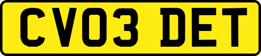 CV03DET
