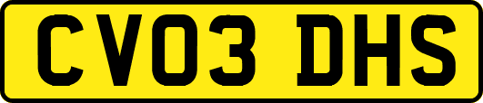 CV03DHS